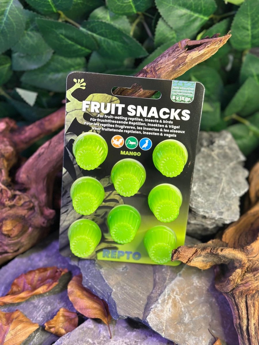 Repto Fruit Snacks - TerraLife