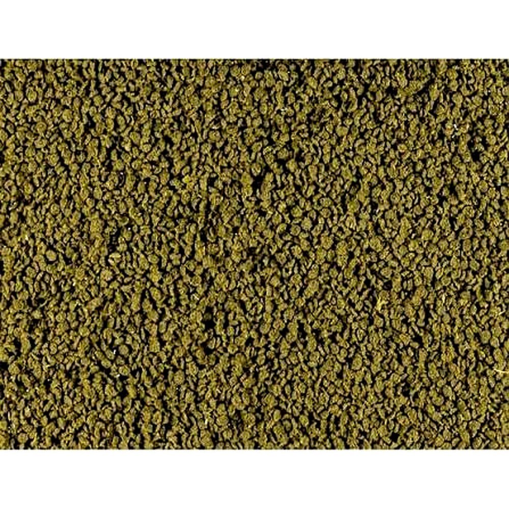 Spiruline Granulés – Complément Alimentaire Isopodes & Détritivores - TerraLife