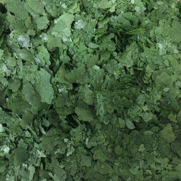 Spiruline Premium en paillettes – Aliment naturel pour isopodes et collemboles - TerraLife