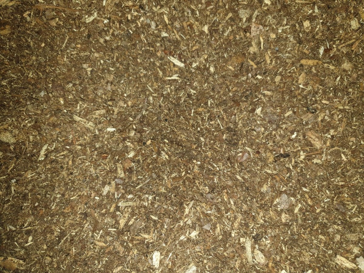 Substrat Isopodes - TerraLife